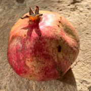 apple-touch-icon.png